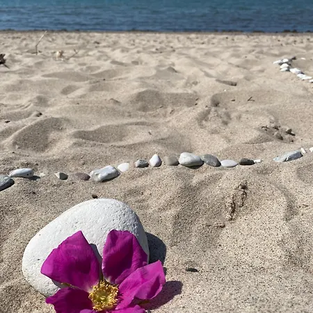 Сasa de vacaciones Reethaus Nordlicht *